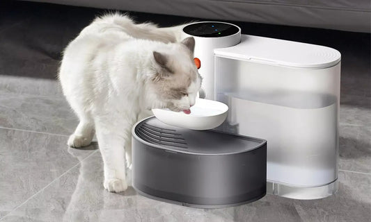 Velvetail™ StreamFlow – Smart Self-Cleaning Pet Water Fountain with Long-Lasting Battery